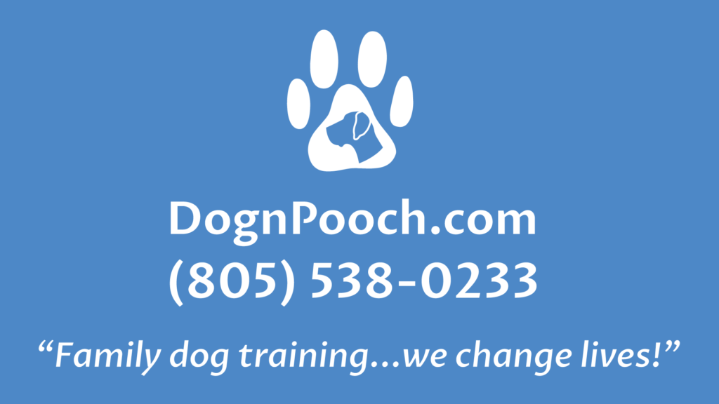 Family Dog Training… We change lives!