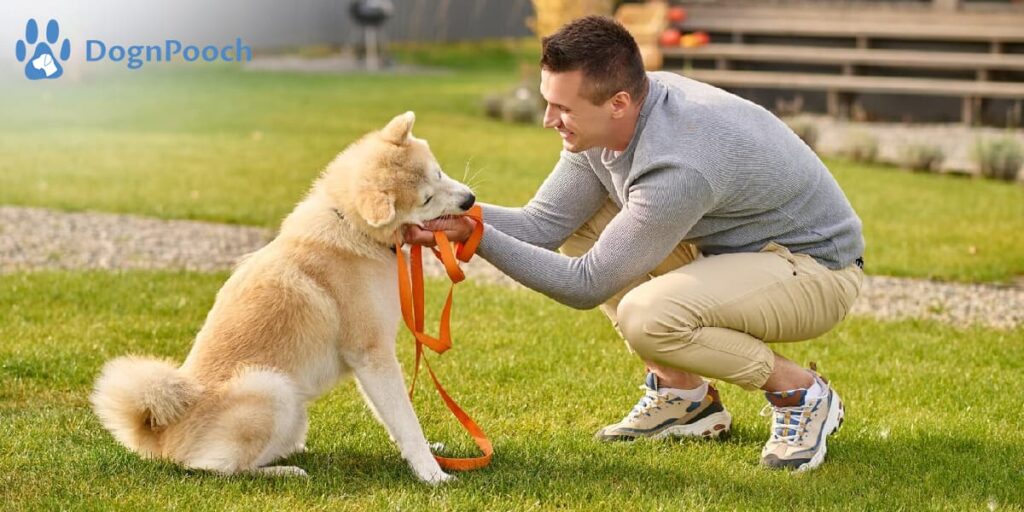 Off-Leash Etiquette: Dos and Don’ts Every Dog Owner Should Know